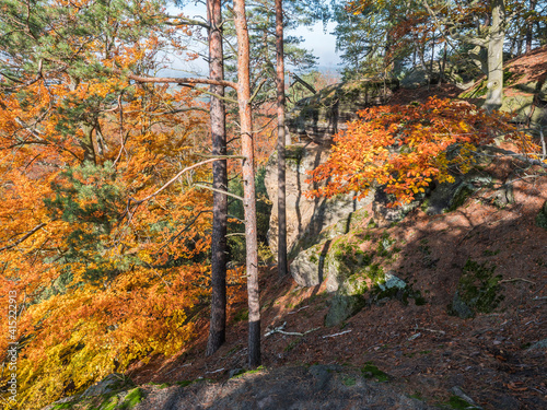 colorful autumn deciduous beech tree and pine tree forest with sandstone rocks at sunny day photo