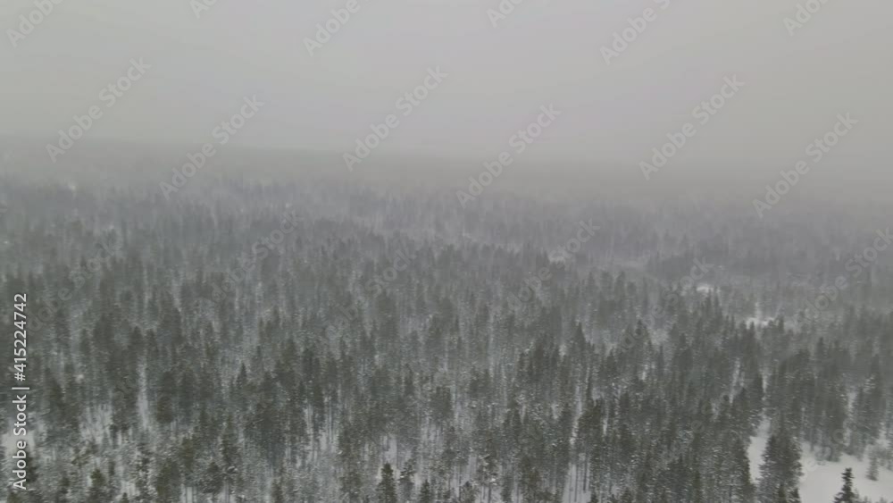Aerial view winter landscape in a snow covered a heavy wet snowfall a thick layer of snow lies on the branches of trees Aerial view winter landscape in a snow covered a heavy wet snowfall a thick layer of snow lies on the branches of trees
