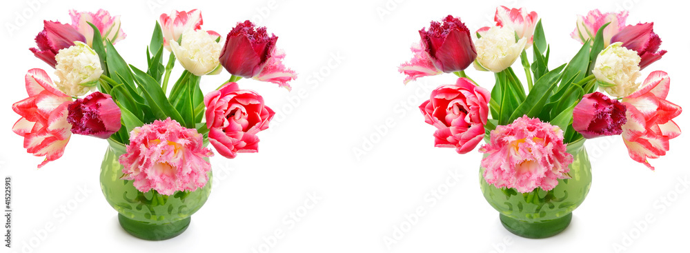 Multicolored tulips in a vase, isolated on white background. Wide photo. Multicolored tulips in a vase, isolated on white background. Wide photo.