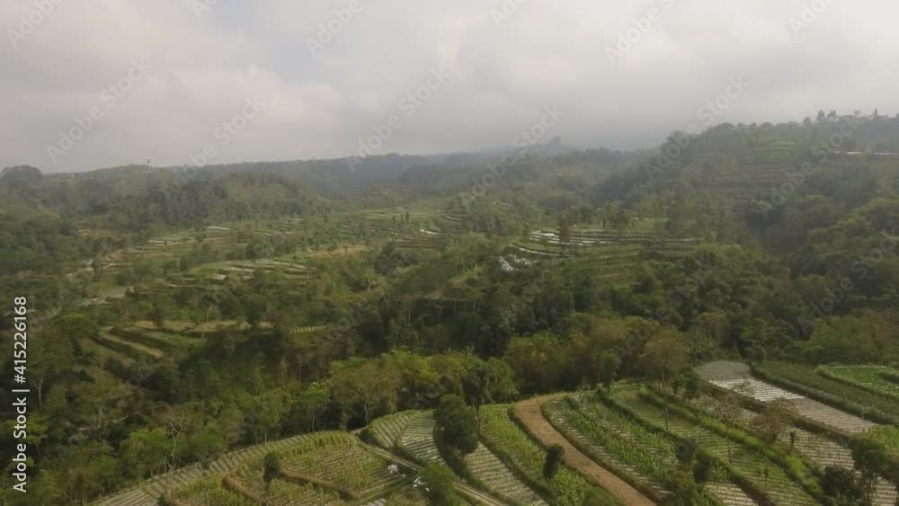 agricultural land in mountains rice terraces, fields with crops, trees. Aerial view farmlands on mountainside Java, Indonesia. tropical landscape agricultural land in mountains rice terraces, fields with crops, trees. Aerial view farmlands on mountainside Java, Indonesia. tropical landscape