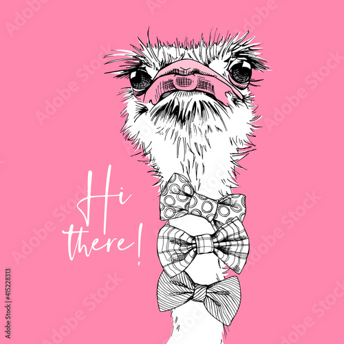 Portrait of a Funny Ostrich in a bow ties on a pink. Hi there - lettering quote. Humor card, t-shirt composition, hand drawn style print. Vector illustration.