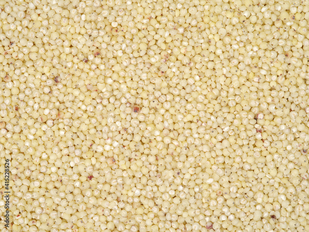 sorghum background sorghum background