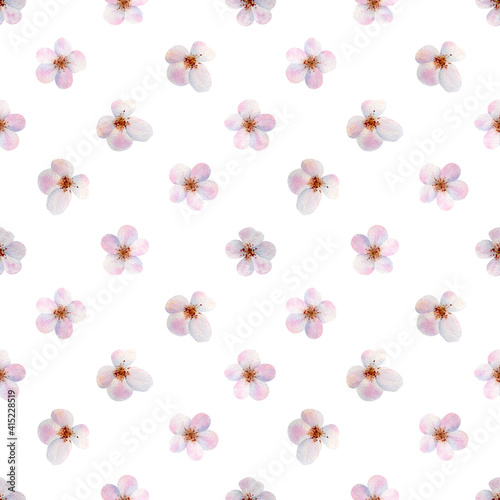 Seamless floral pattern with blossom tree flowers on white background. Botanical illustration for textile and decor