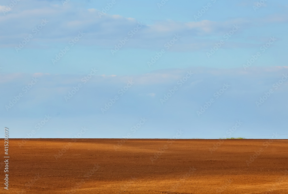 Fototapeta premium Texture of cultivated field