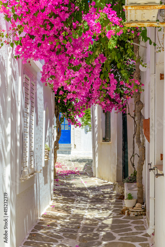 Fototapeta Naklejka Na Ścianę i Meble -  Traditional alley with whitewashed houses and a full blooming bougainvillea in Prodromos Paros island
