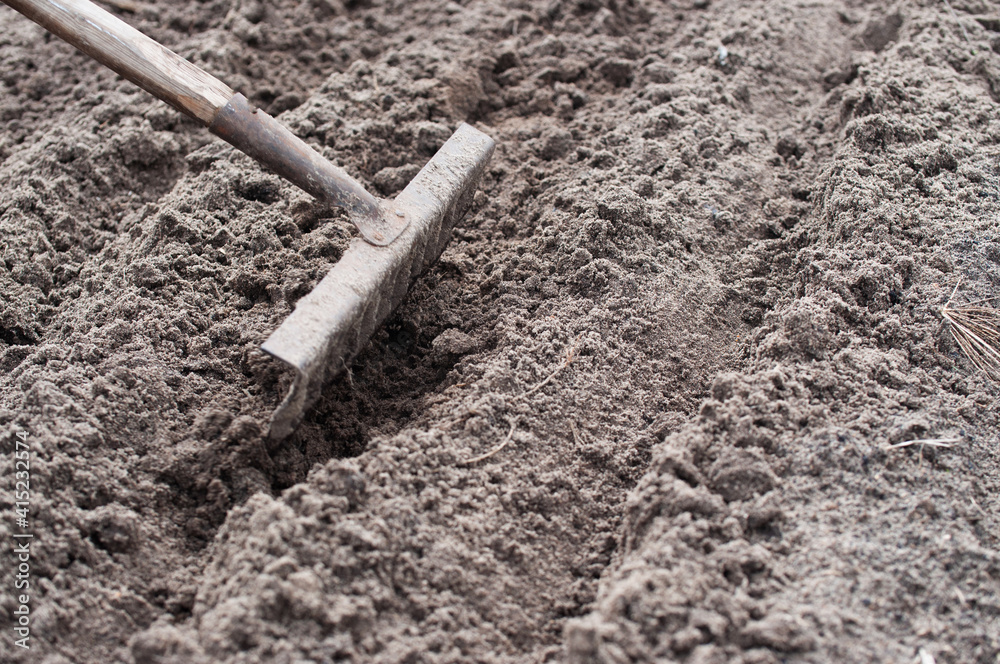 rakes in the garden loosen the ground rakes in the garden loosen the ground