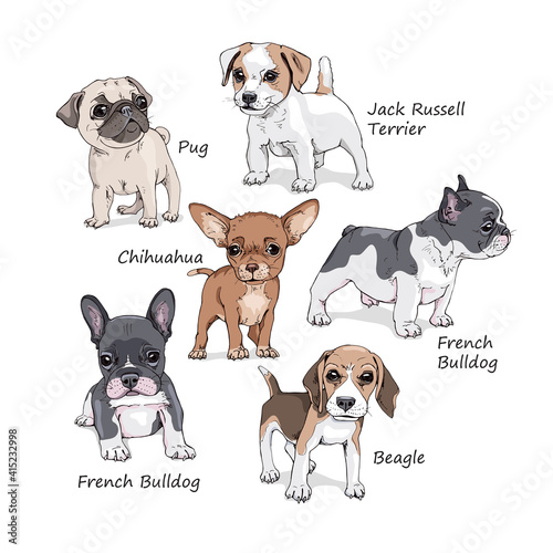 Seamless wallpaper pattern. Funny Cartoon puppies Characters. French Bulldog, Beagle, Jack Russell Terrier, Chihuahua, Pug. Textile composition, hand drawn style print. Vector illustration.