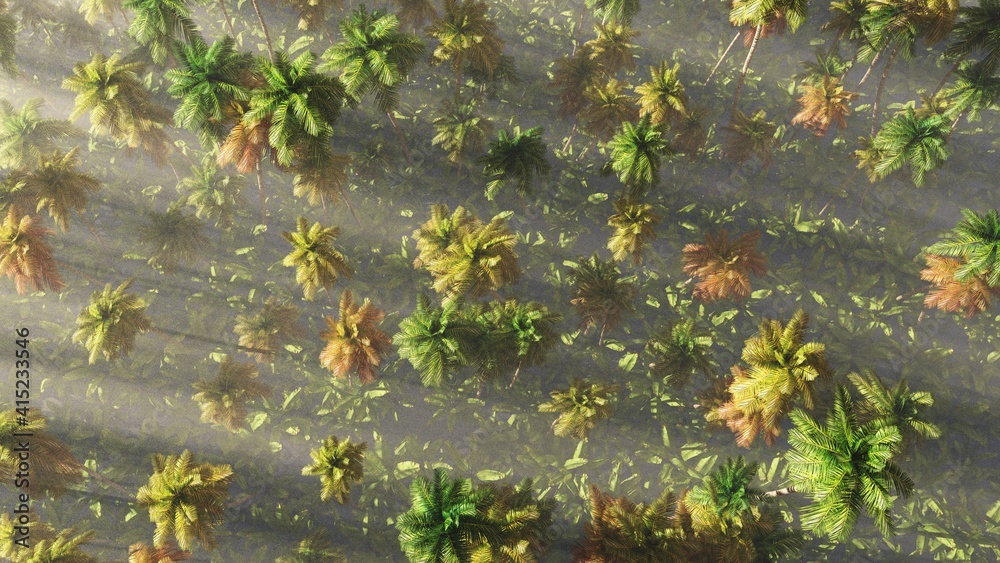 Jungle from a height of flight in the morning in the fog, palm trees from a bird's-eye view in the haze, 3D rendering Jungle from a height of flight in the morning in the fog, palm trees from a bird's-eye view in the haze, 3D rendering