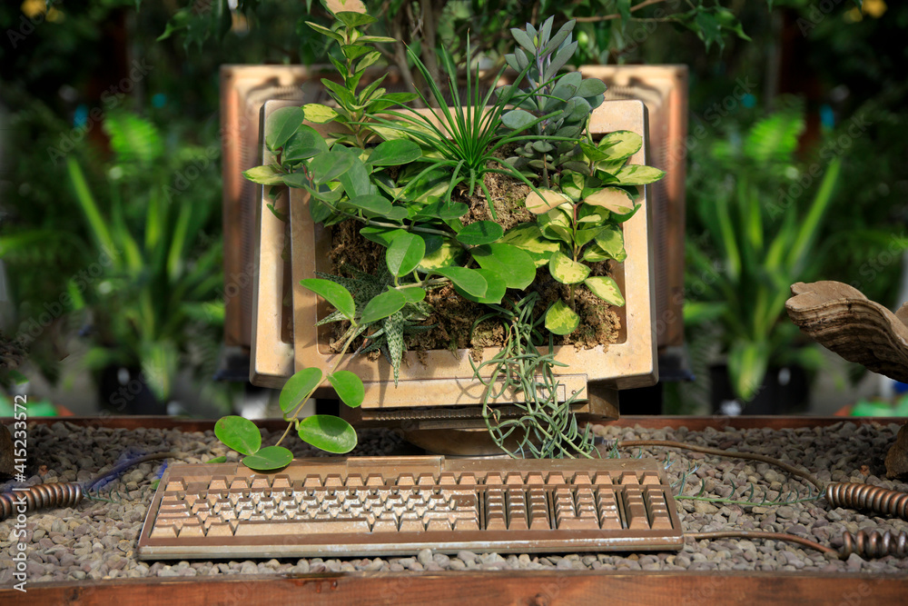 plants overgrowing an old computer