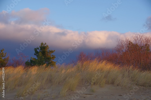 Sandy dunes by Baltic sea in windy spring evening under dramatic beautiful clouds