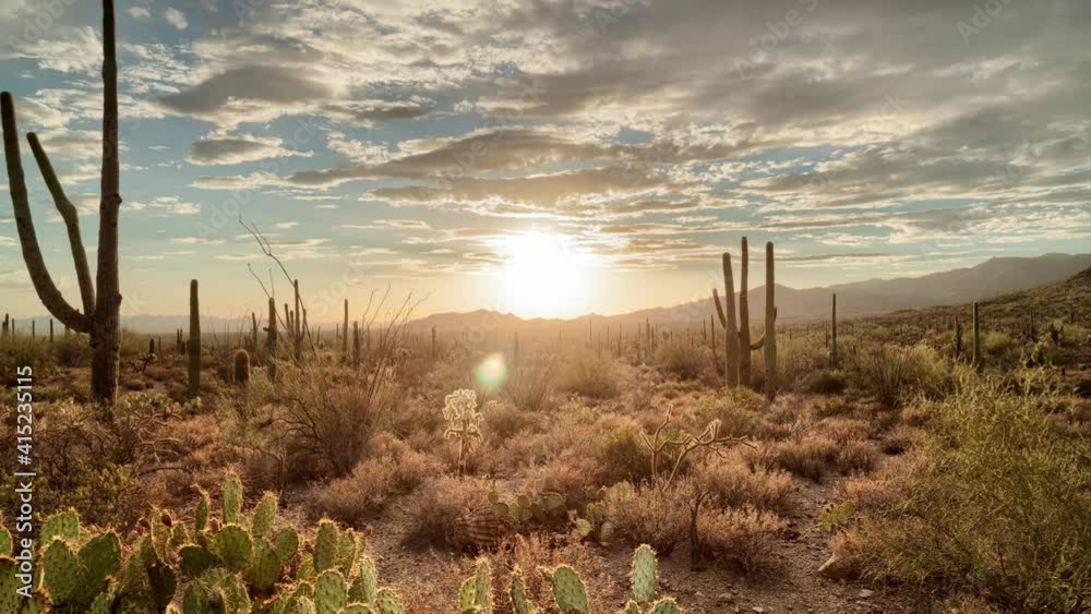 Panning timelapse/hyperlapse of cactus forest sunset with fluffy cloud motion
