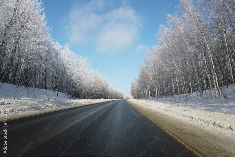 Fototapeta premium winter landscape with the road the forest