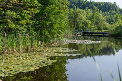 lake in the park