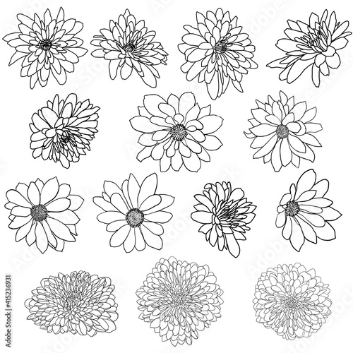 Set beautiful sketch flower on white background