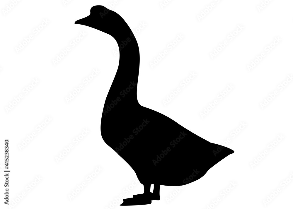 Big goose. Bird farming.