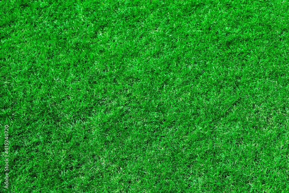 Freshly cut green grass lawn. Homogeneous background from mown plants. Green grass texture. Freshly cut green grass lawn. Homogeneous background from mown plants. Green grass texture.