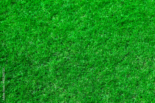 Freshly cut green grass lawn. Homogeneous background from mown plants. Green grass texture.