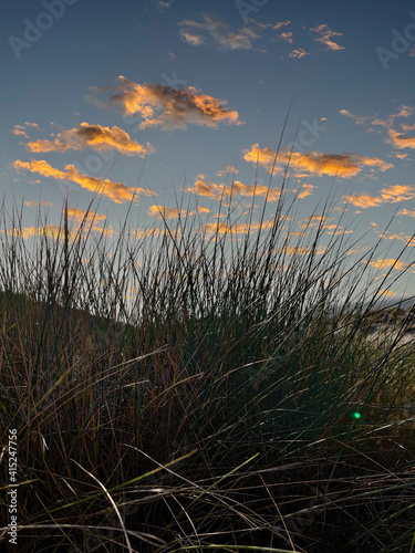 Sonnenuntergang hinterm Gras