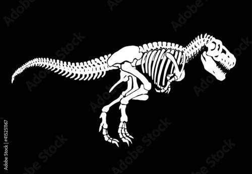 Graphical skeleton of tyranosaurus isolated on black background,vector engraved illustration, paleontology