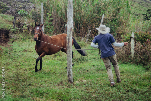 Horse trainer running a horse to tame it