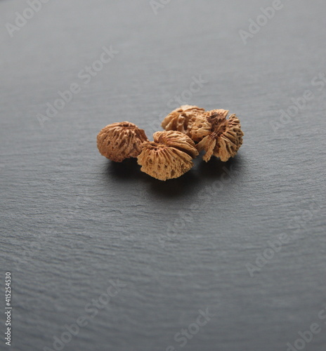 Seeds of  flat peach (Prunus persica var. platycarpa), Paraguayan Peach,  doughnut peach or Saturn peach, on grey background photo