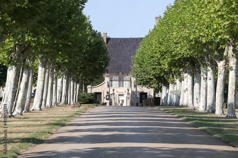 Castle of Pizay  in Beaujolais, France. The Castle of Pizay, built in the XIXth century is an ideal place to have a relaxing stay