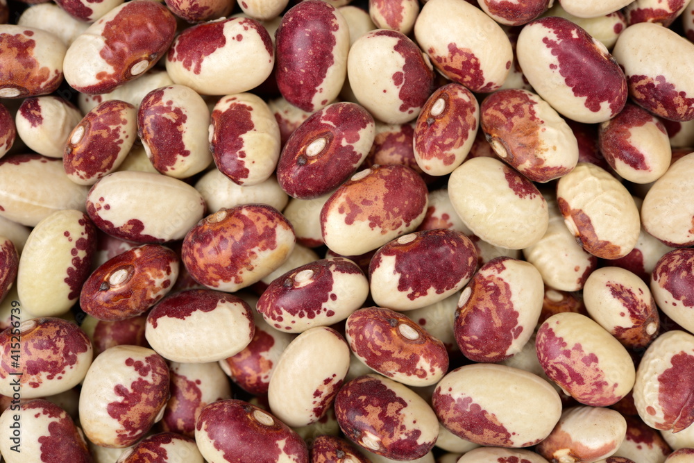 Dry beans background Dry beans background