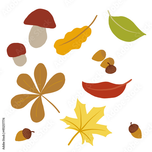 Collection of fall season symbols. Set of autumn related isolated objects. Mild colors. Leaves, acorns, mushrooms, forest or wood harvest. Can be used as stickers, decoration. Vector illustration