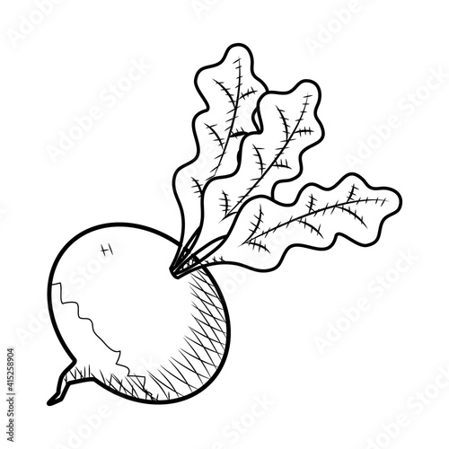 radish vegetable icon, sketch style
