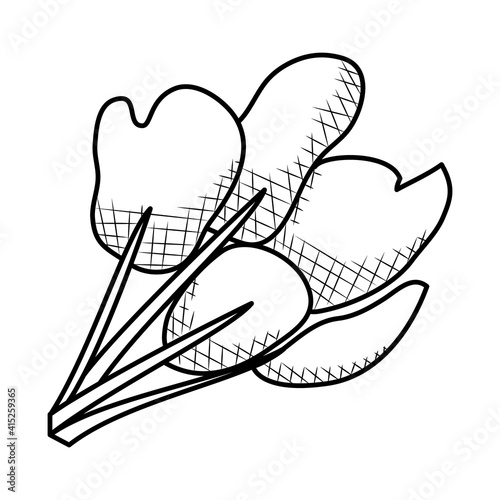 spinach leaves icon, sketch style