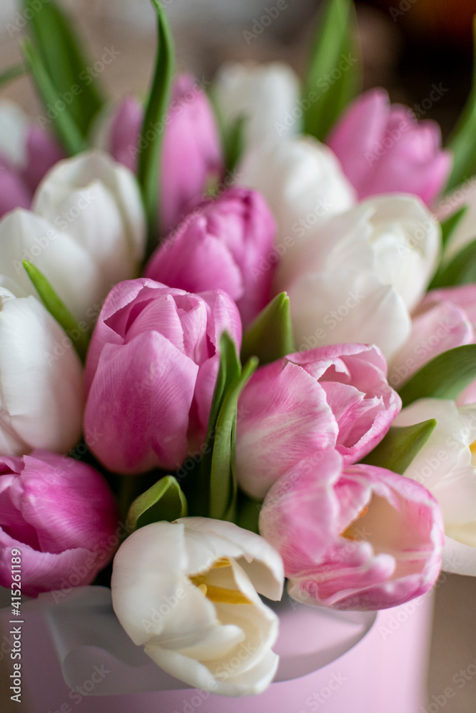Obraz premium bouquet of pink and white tulips in a rose box