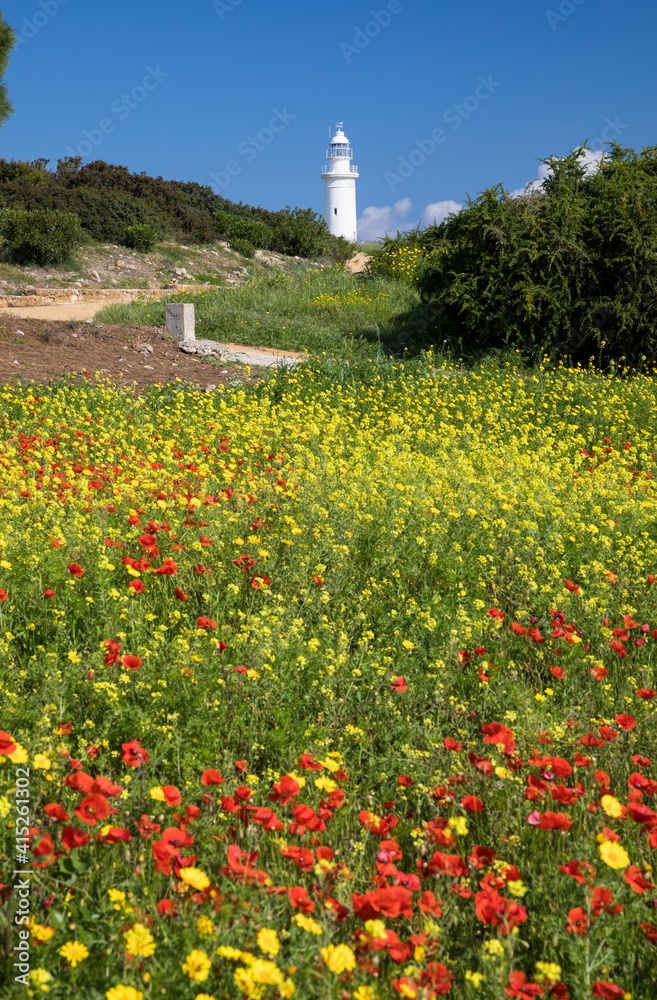 Paphos Lighthouse with wild flowers in the foreground, Kato Pafos archaeological Park, Cyprus