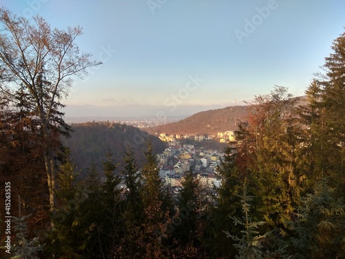 Deep forest in Europe with river and lake