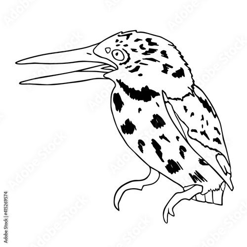 Tropical bird rufous back kingfisher with motley head and wing. Vector illustration of black contour bird on tree isolated on white background. Kingfisher with open beak sits on branch. Doodle