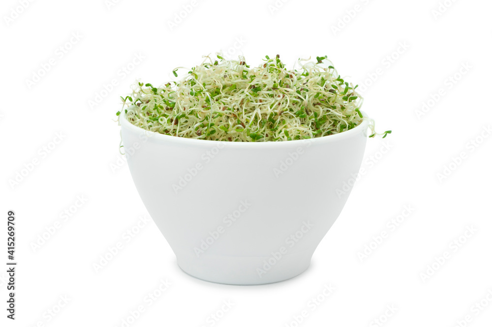 Organic young alfalfa sprouts in a cup on a white background Organic young alfalfa sprouts in a cup on a white background