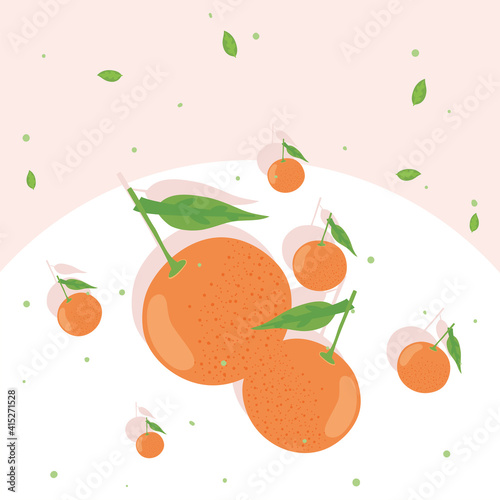 Fototapeta Naklejka Na Ścianę i Meble -  Healthy food oranges fruits vector design