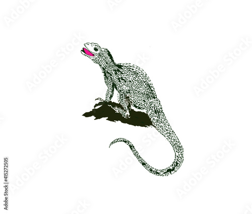 la iguana 