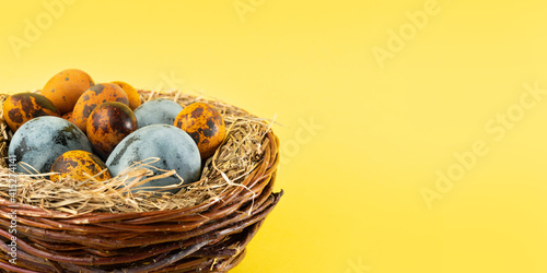 Easter colored eggs in a basket in the form of a nest on a yellow background. Closeup, copy space, banner. Easter holiday concept