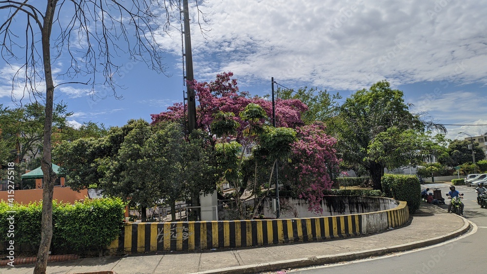 Obraz premium flowers in the park