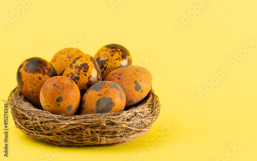 Easter quail eggs in a small nest on a yellow background. Easter holiday concept. Close up, copy space.