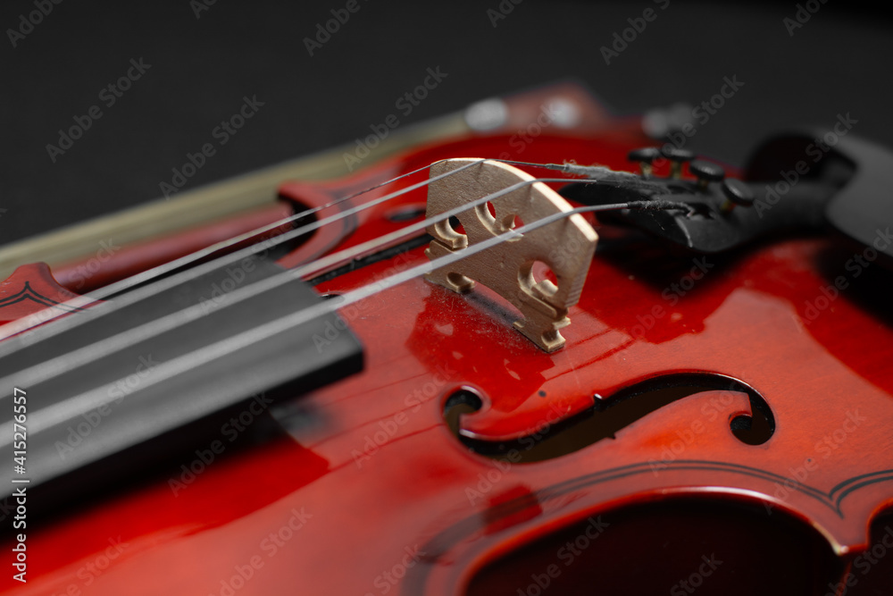 Fototapeta premium Close view of a classical small violin, strings and bridge over a dark black blanket background 