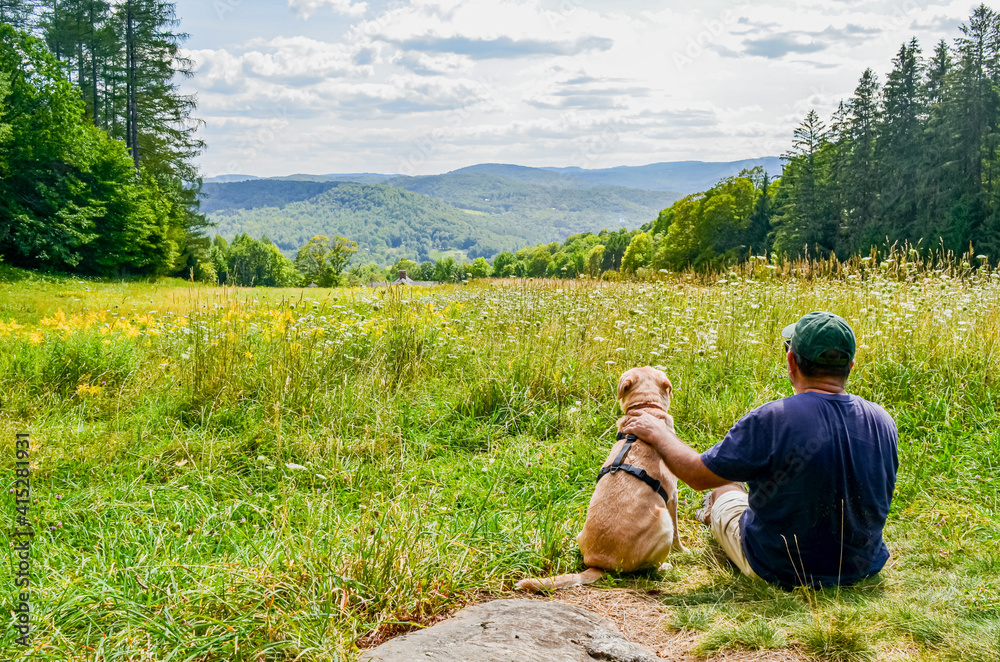 A hiker and his dog share a moment gazing out over a beautiful summer field and the rolling New England landscape.  Vermont, USA. - obrazy, fototapety, plakaty 
