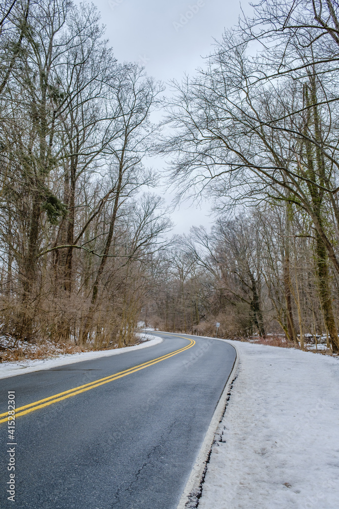 Obraz premium winter road in the forest