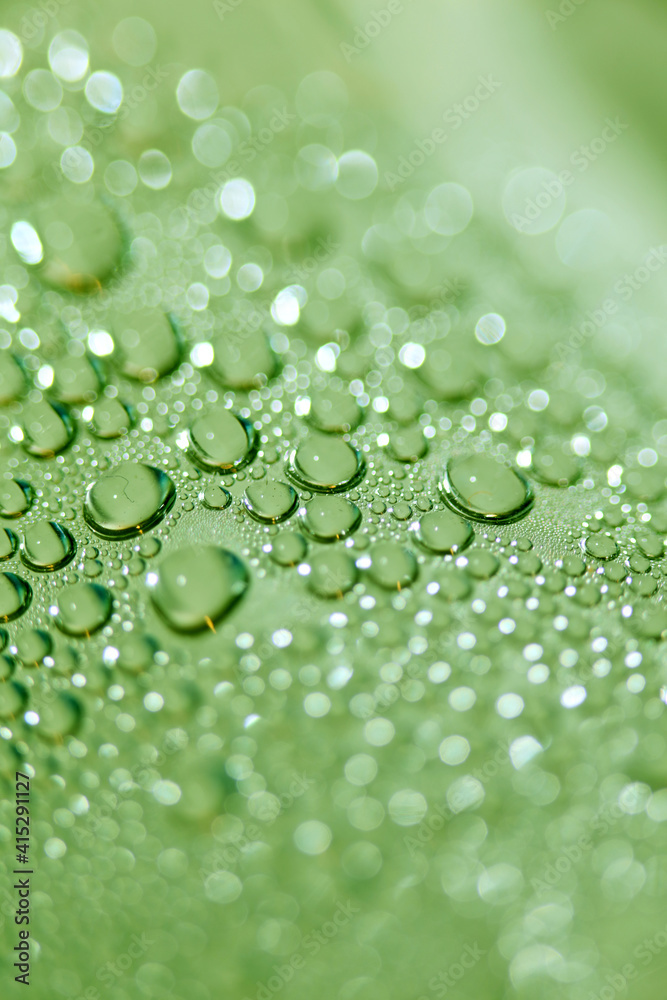 Colorful water droplets macro modern dreamy wet background high quality prints fifty megapixels Colorful water droplets macro modern dreamy wet background high quality prints fifty megapixels