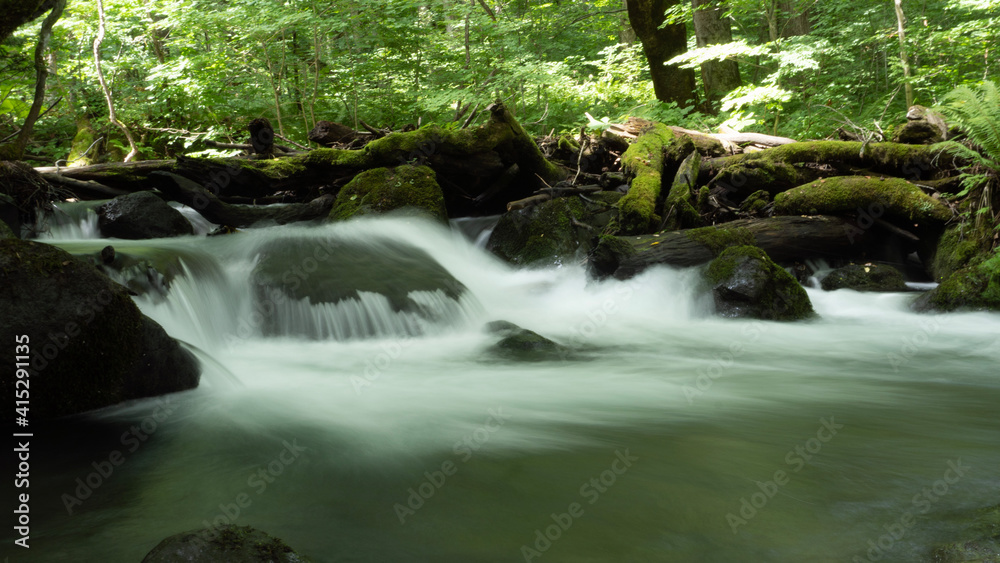waterfall in the forest waterfall in the forest