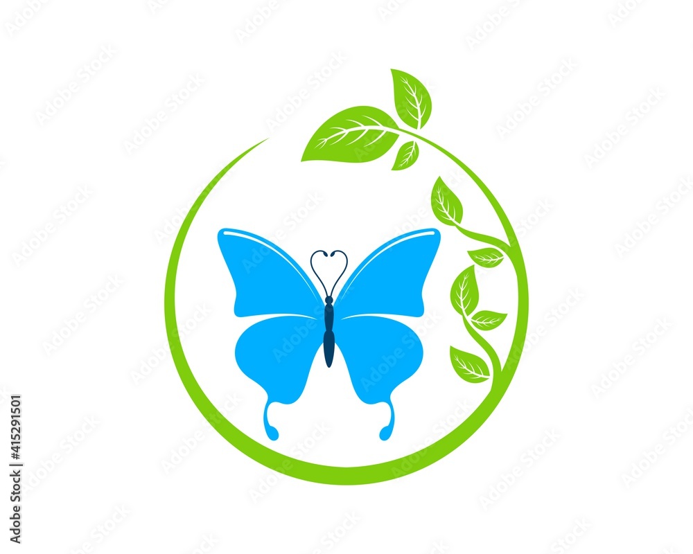 Circular nature leaf with blue butterfly Circular nature leaf with blue butterfly