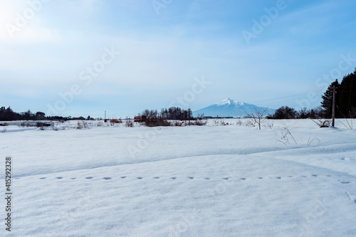 【青森県津軽】津軽平野の雪景色と岩木山