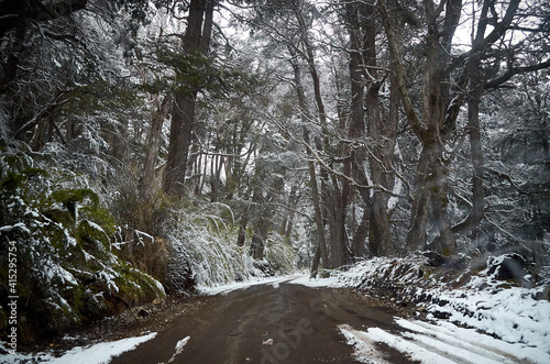 A view of the road in the middle of snowy forest with trees and vegetation covered in snow way from Villa Traful, Neuquen, to San Carlos de Bariloche, Rio Negro. Patagonia region of Argentina.
