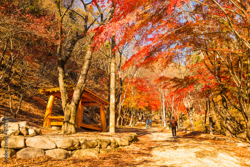 팔공산 단풍
