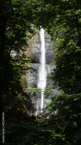 waterfall in the forest